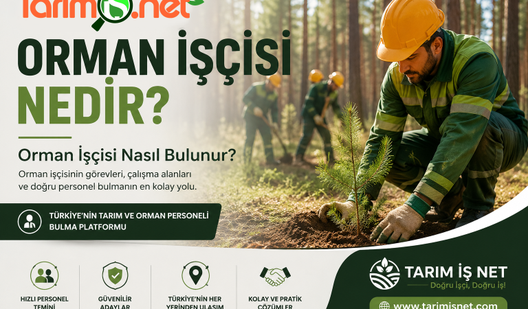 Orman İşçisi Nedir? Orman İşçisi Nasıl Bulunur?